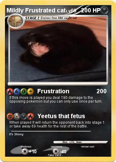 Pokemon Mildly Frustrated cat