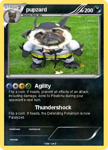 Pokemon pupzard