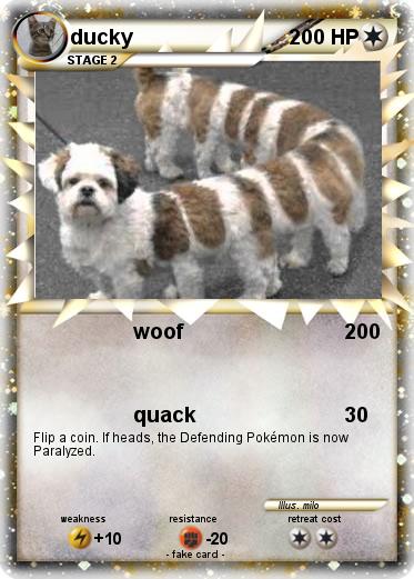 Pokemon ducky