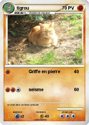 Pokemon tigrou
