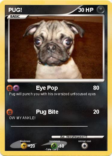 Pokemon PUG!
