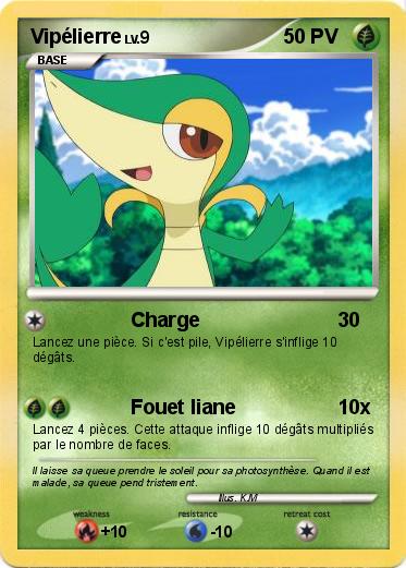 Pokemon Vipélierre