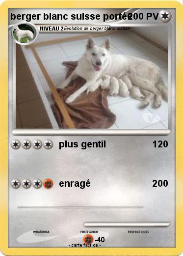 Pokemon berger blanc suisse portée