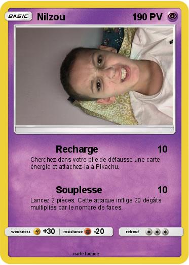 Pokemon Nilzou