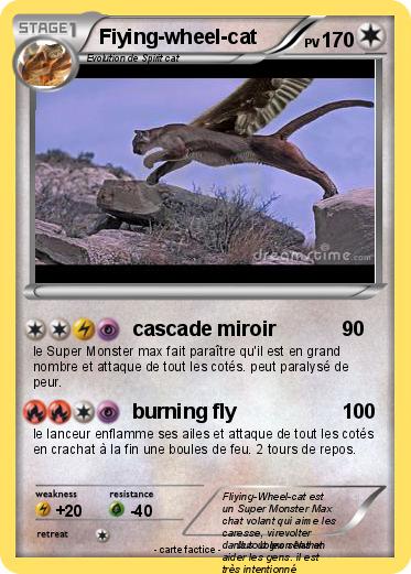 Pokemon Fiying-wheel-cat