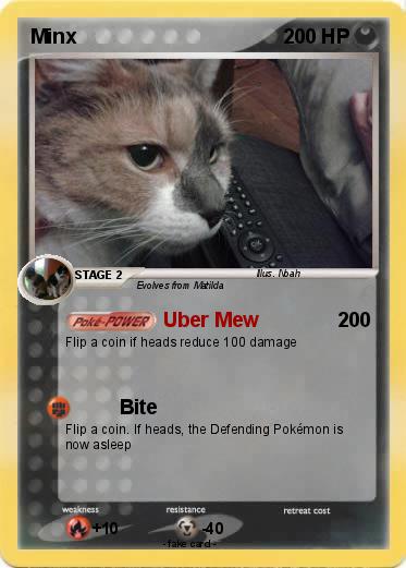 Pokemon Minx