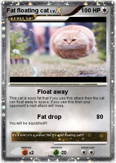 Pokemon Fat floating cat