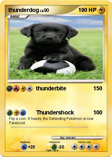 Pokemon thunderdog