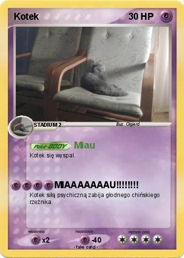 Pokemon Kotek