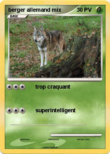Pokemon berger allemand mix