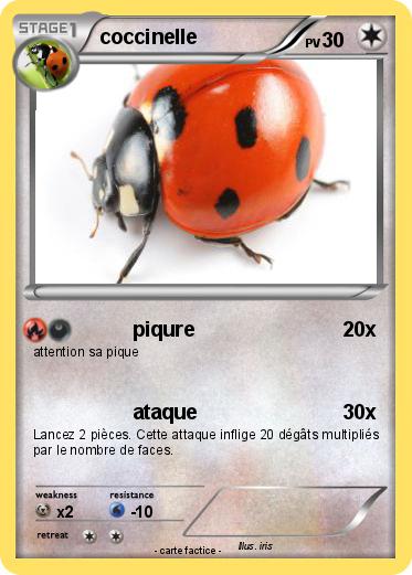 Pokemon coccinelle