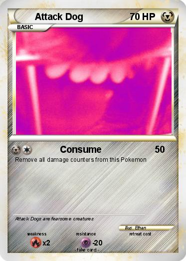 Pokemon Attack Dog