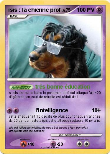 Pokemon isis : la chienne prof