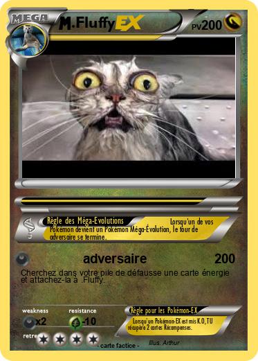 Pokemon .Fluffy