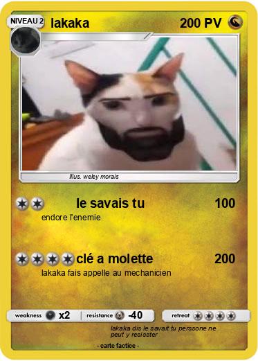 Pokemon lakaka