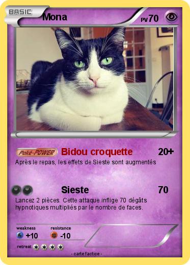 Pokemon Mona
