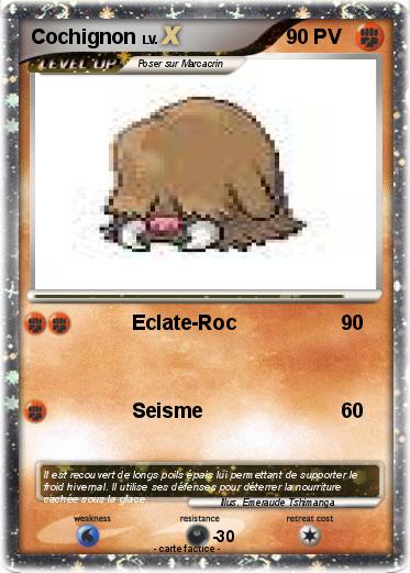 Pokemon Cochignon