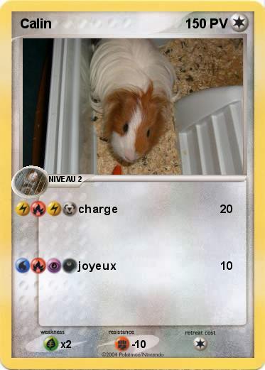 Pokemon Calin