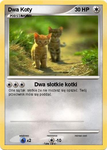 Pokemon Dwa Koty