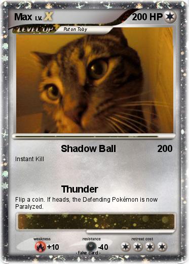 Pokemon Max