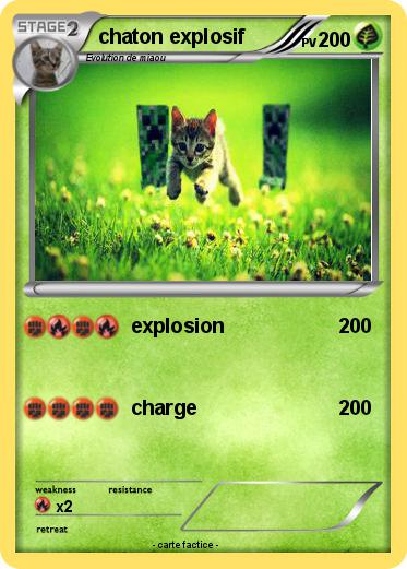 Pokemon chaton explosif