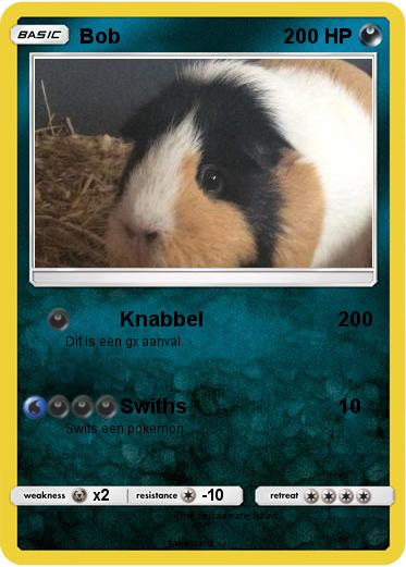 Pokemon Bob