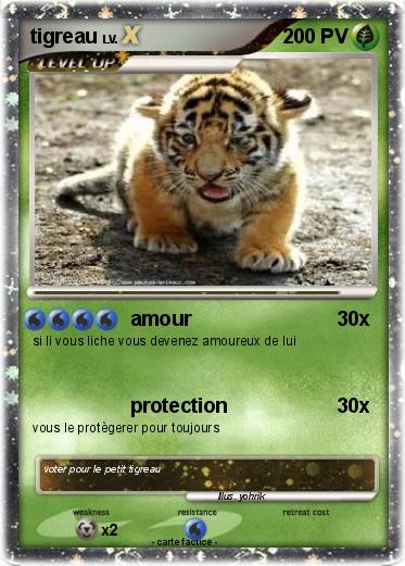 Pokemon tigreau