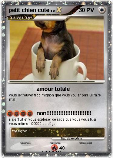 Pokemon petit chien cute