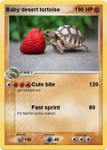 Pokemon Baby desert tortoise