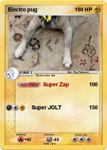 Pokemon Electro pug