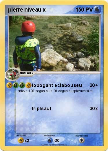 Pokemon pierre niveau x