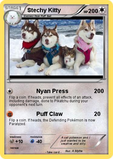 Pokemon Stechy Kitty