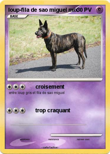 Pokemon loup-fila de sao miguel mix