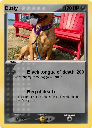 Pokemon Dusty