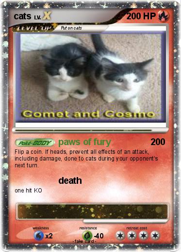 Pokemon cats