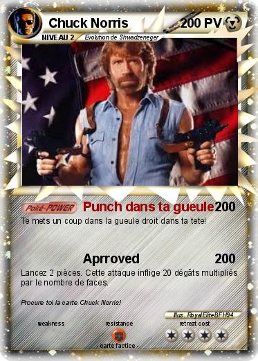 Pokemon Chuck Norris