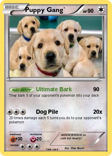 Pokemon Puppy Gang`