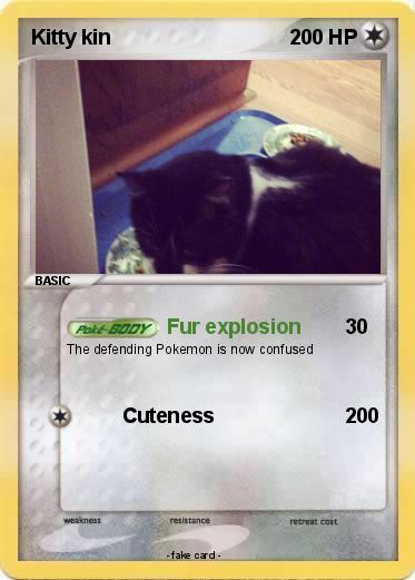 Pokemon Kitty kin
