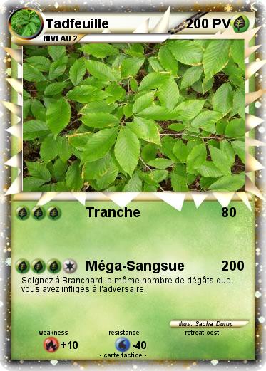 Pokemon Tadfeuille