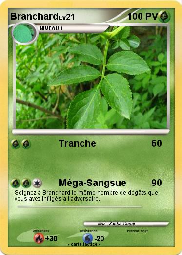 Pokemon Branchard