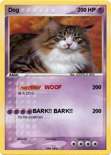 Pokemon Dog