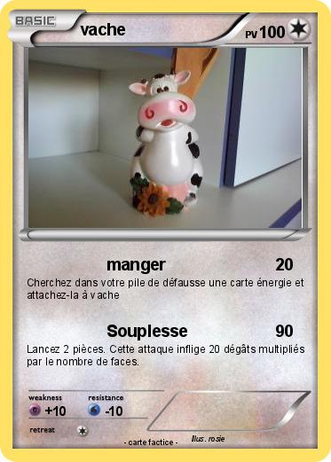 Pokemon vache