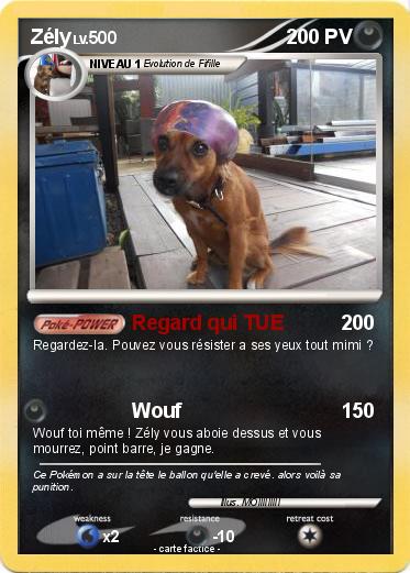 Pokemon Zély