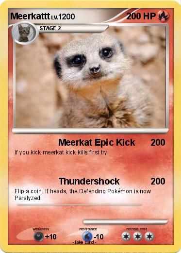 Pokemon Meerkattt