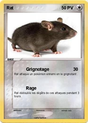 Pokemon Rat