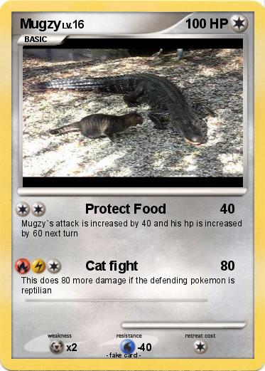 Pokemon Mugzy