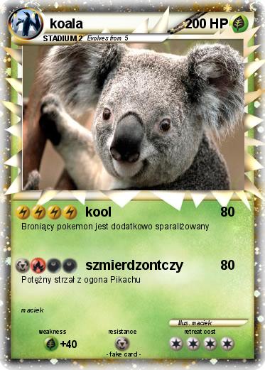 Pokemon koala