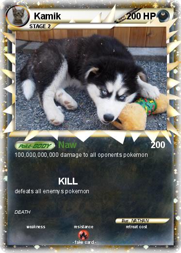 Pokemon Kamik