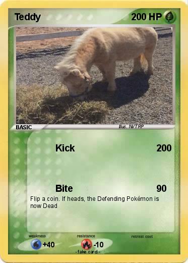 Pokemon Teddy