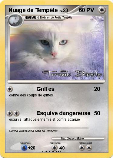Pokemon Nuage de Tempête